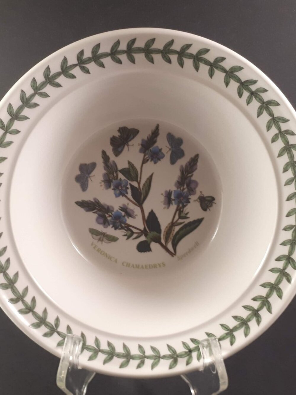 Portmeirion Botanic Garden Rimmed  Bowl Flower 6.5 inches Veronica Chamaedrys
